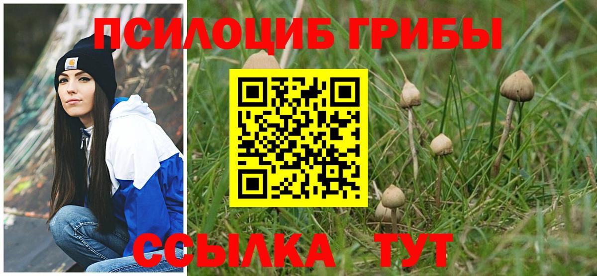Галлюциногенные грибы Cubensis Каменск-Уральский