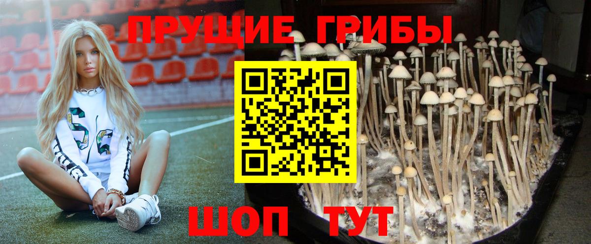 Галлюциногенные грибы мицелий  Вход с VPN  Псилоцибиновые грибы мухоморы  закладки  Каменск-Уральский 